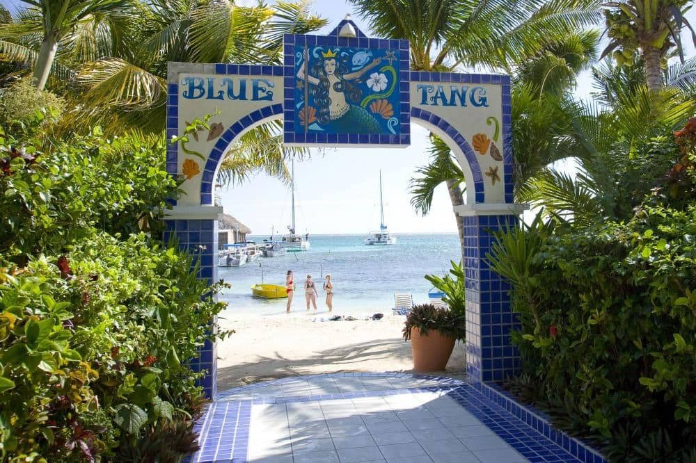 Blue Tang Inn Landmark sign