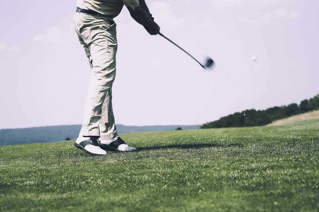 Gentlemen playing golf